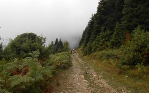 Περπατώντας από τα Επινιανά προς την Αγραπιδιά, υπό βροχή και ομίχλη